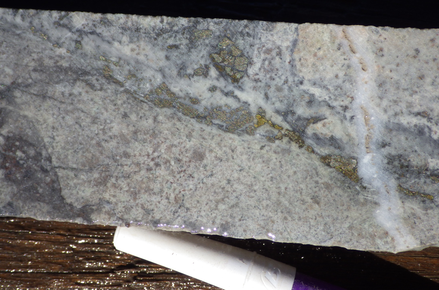 VR Initiates Exploration Plans for its Bonita porphyry copper-gold project in Nevada