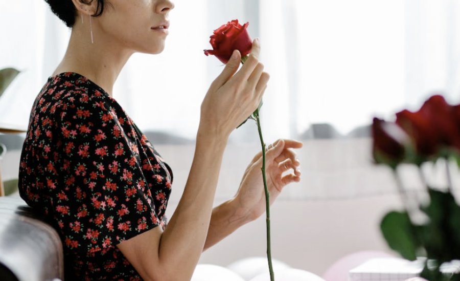 الورود للذكرى السنوية: الألوان والمعنى وزهور الذكرى السنوية لزوجتك