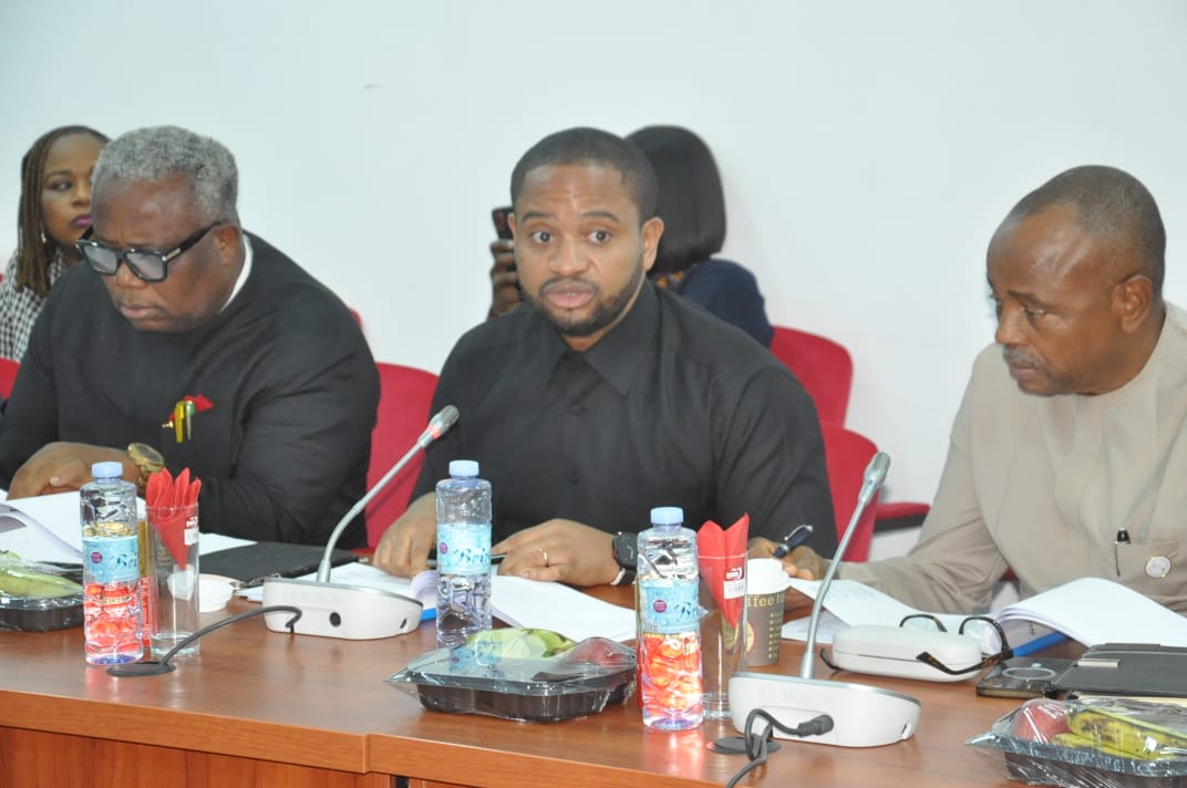 مجلس الشيوخ يدعم SEDC بشأن مقترح ميزانية 2026 بقيمة 140 مليار نيرة