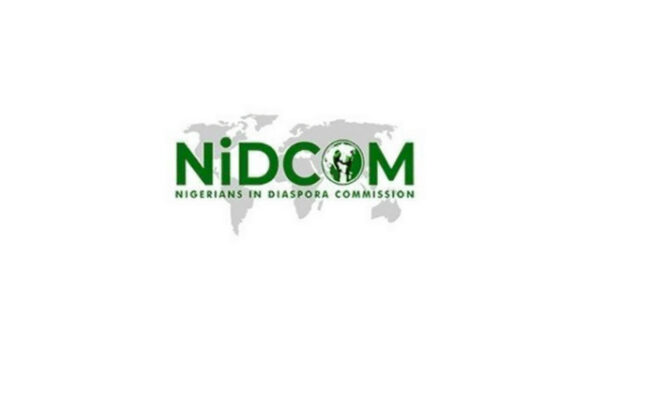 "ديتي ديسمبر": NIDCOM ترفض اقتراح فرض ضريبة بقيمة 500 دولار على ...