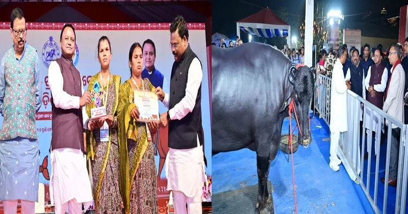 Odisha Records 1.35 lakh litres additional milk production in 18 months under CM Kamadhenu Scheme: CM Mohan Majhi