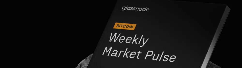 BTC Market Pulse: Week 4