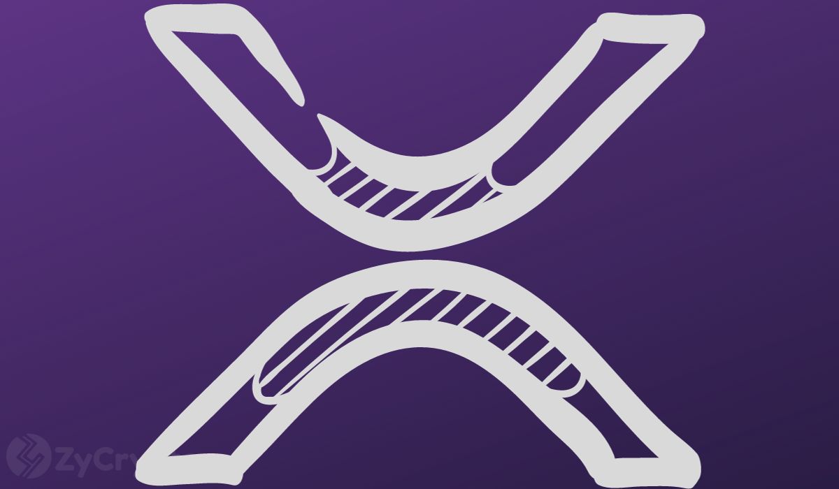 محلل سابق في غولدمان ساكس يتوقع طفرة هائلة في سعر XRP لتصل إلى 1000 دولار بحلول عام 2030