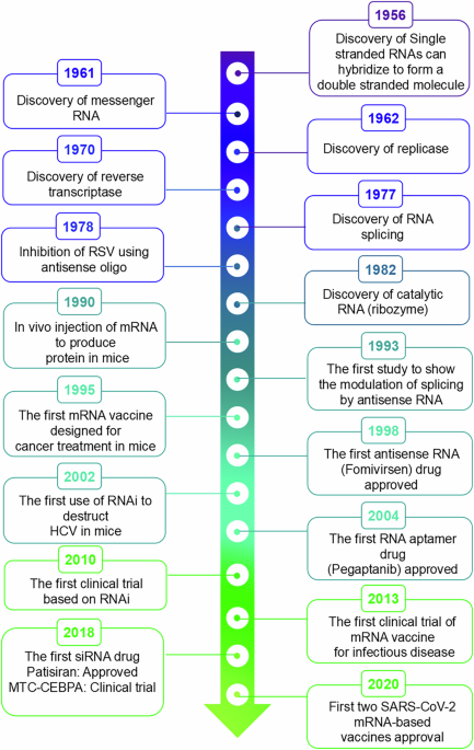 تطورات العلاجات القائمة على الحمض النووي الريبوزي (RNA) من المختبر إلى سرير المريض - npj Drug Discovery