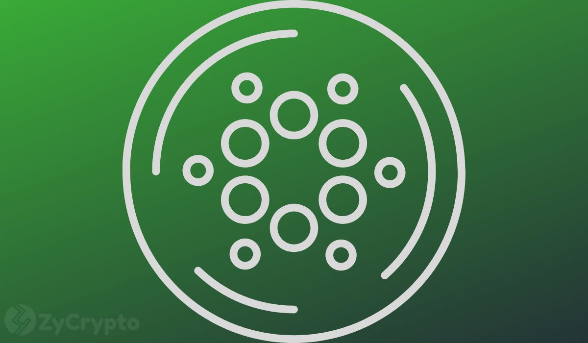 Cardano Leads Large-Cap Gains, Outpacing Bitcoin And XRP, But Can It Keep Up?