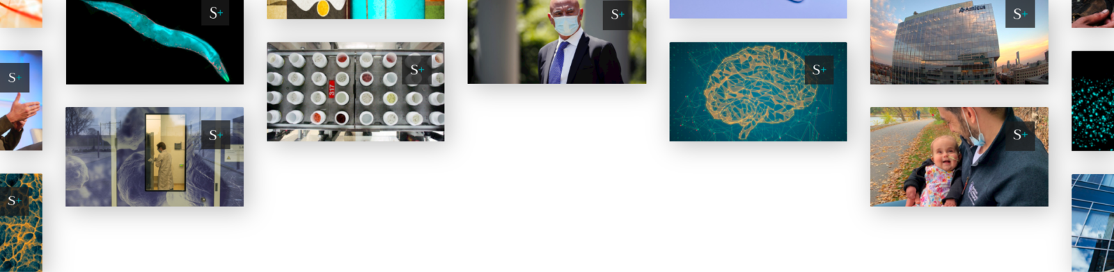 TrumpRx claims to offer the lowest prices. But many drugs have cheaper generics