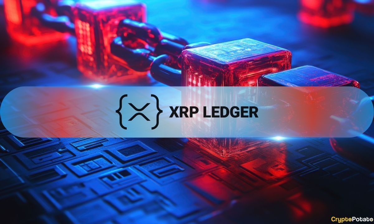 انخفاض مقاييس XRPL بنسبة 50-80%: يشرح المحلل السبب وهل يمكن أن يؤثر ذلك على سعر XRP