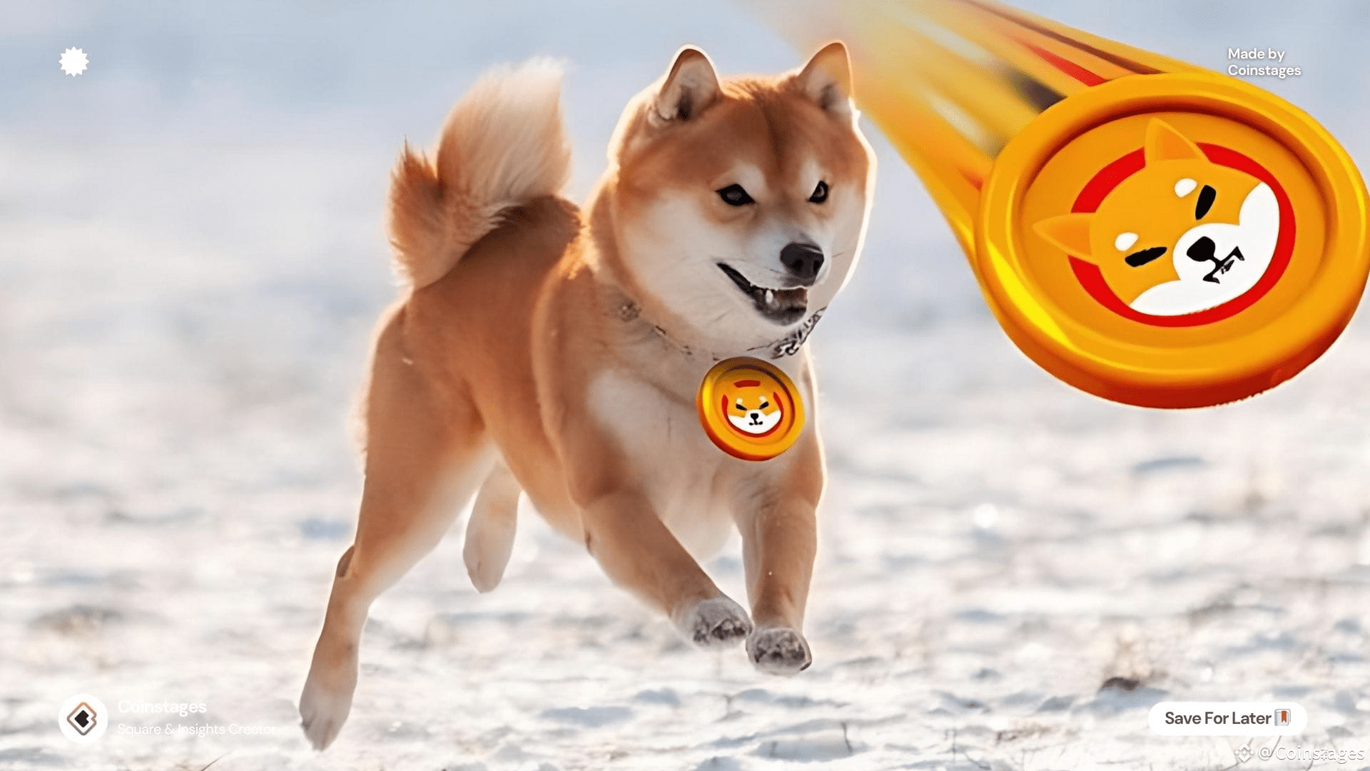 Shiba Inu burns surge as chart signals breakout