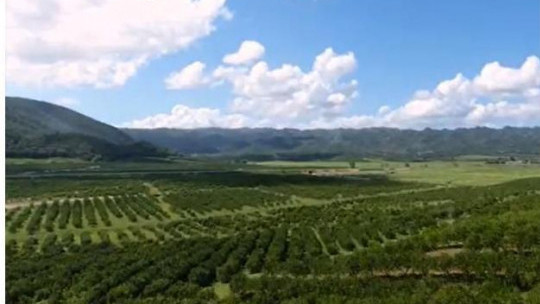 تقترح الشركة المصنعة للعصائر زيادة نسبة GCT بدلاً من المشروبات السكرية المستهدفة