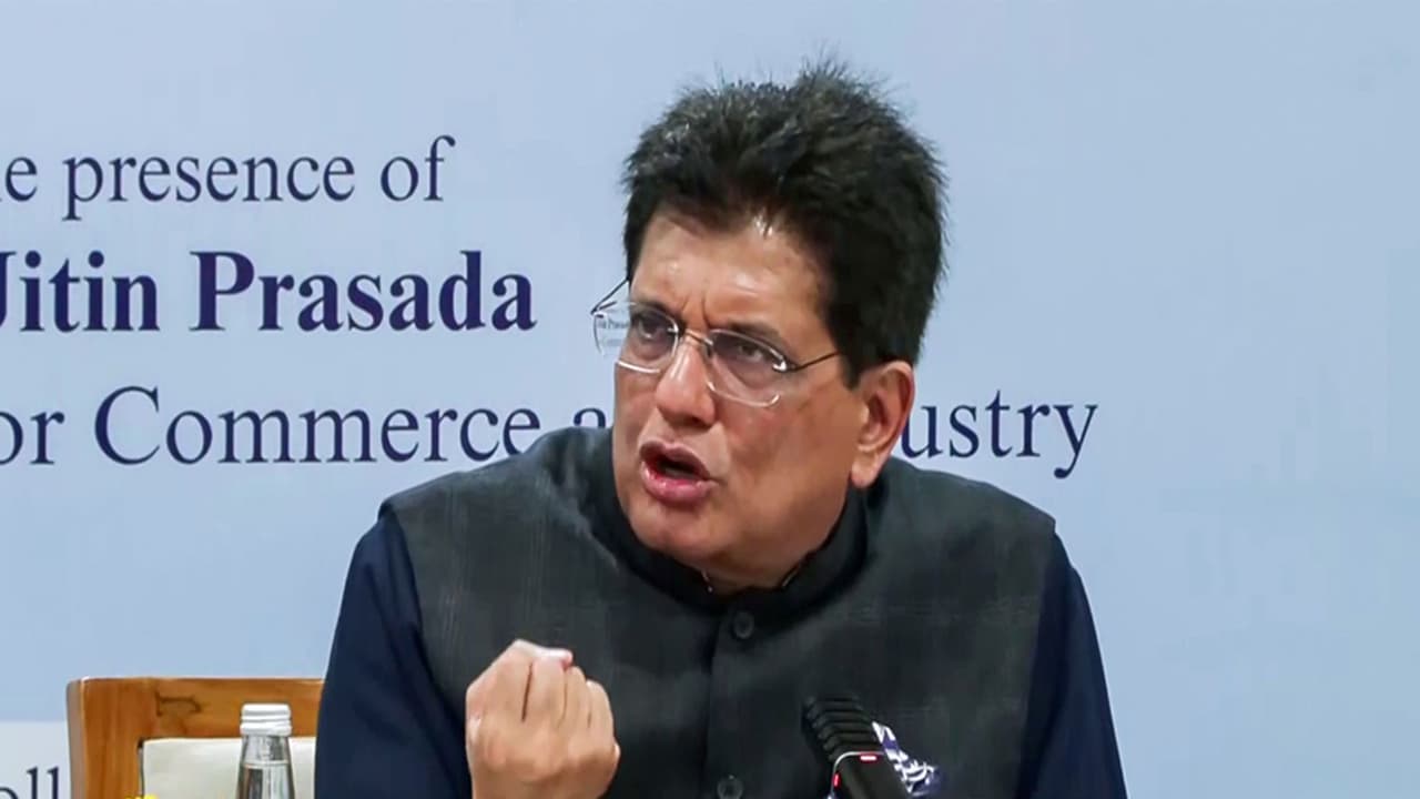 India y Estados Unidos son socios naturales con fuertes complementariedades: Goyal