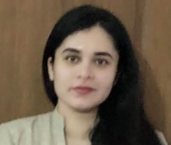 La paradoja de la constitución offshore