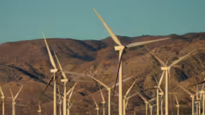 High costs, land delays and grid constraints in scaling up renewable energy: Economic survey