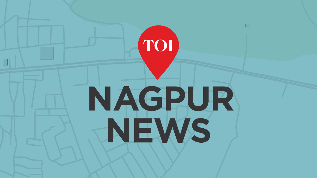 Commercial flights from Gondia stop operations