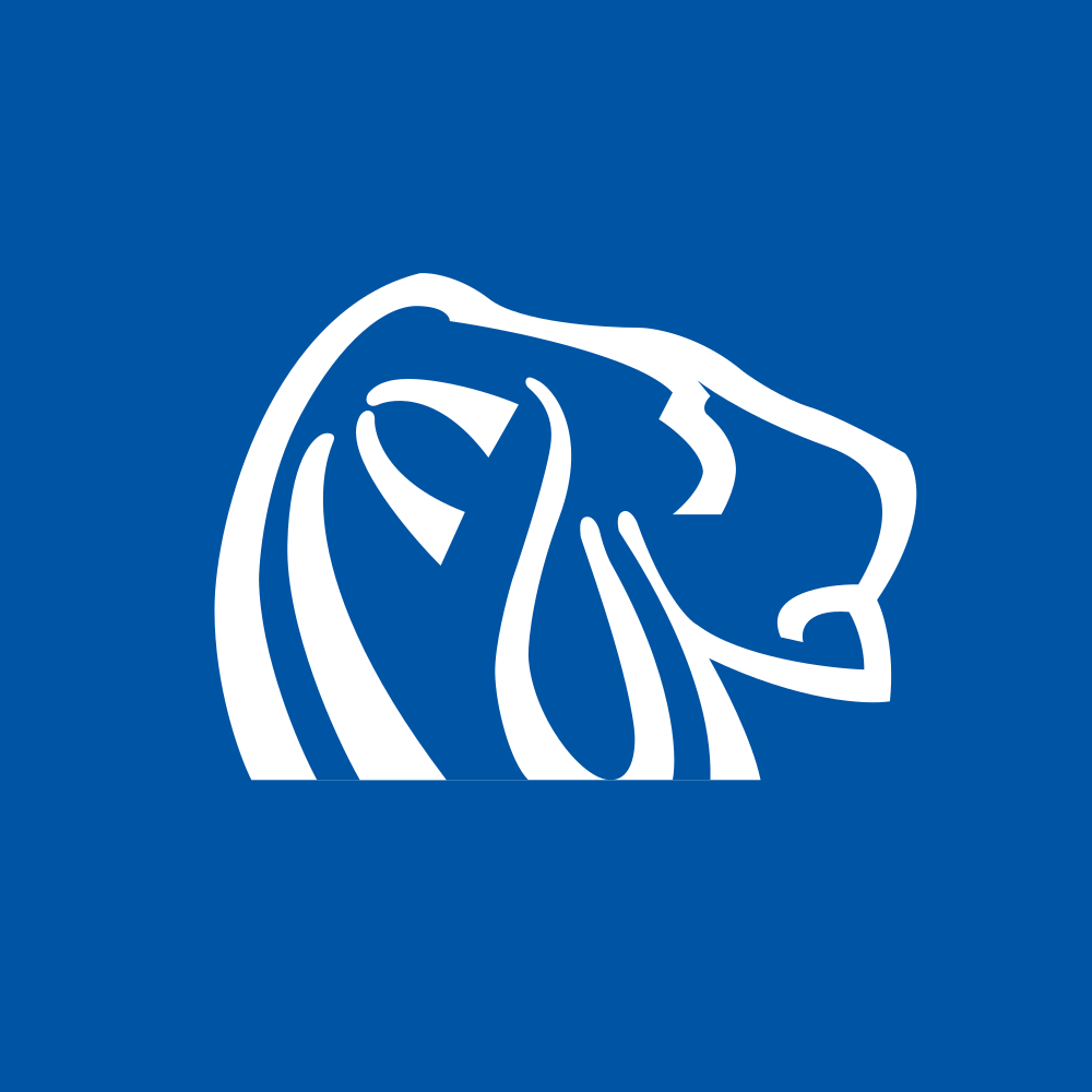 Northern Dynasty Minerals Ltd. (NAK)