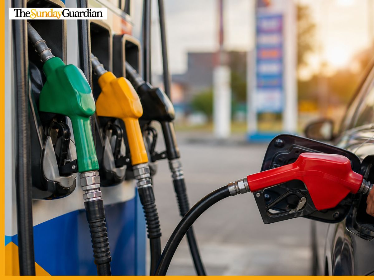 Petrol-Diesel Prices Today, June 14 In India: Check City-Wise Prices In Delhi, Mumbai, Chennai, Bengaluru and Other Cities