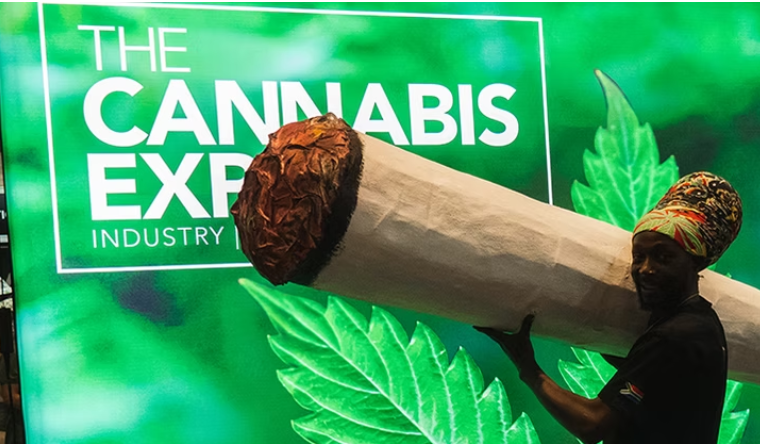 يعلن معرض Cannabis Expo 2026 عن BudBox كشريك مقدم