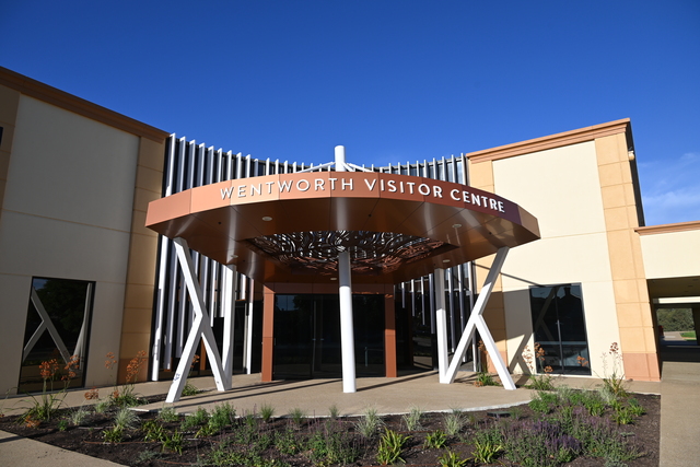 AI and cyber security threats: NSW Auditor General