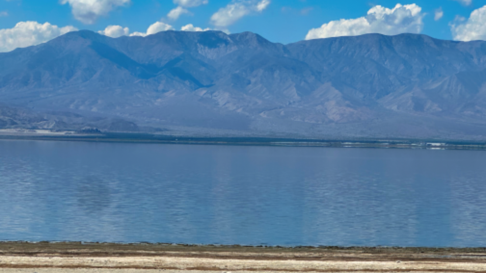 التفكير خارج نطاق نظام MLS: مالك أرض يتبع نهجًا غير تقليدي لبيع عقار في بحر سالتون.