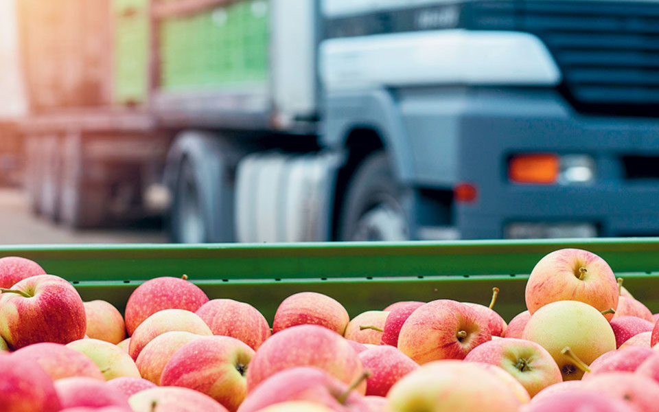 Braving tariffs and uncertainty