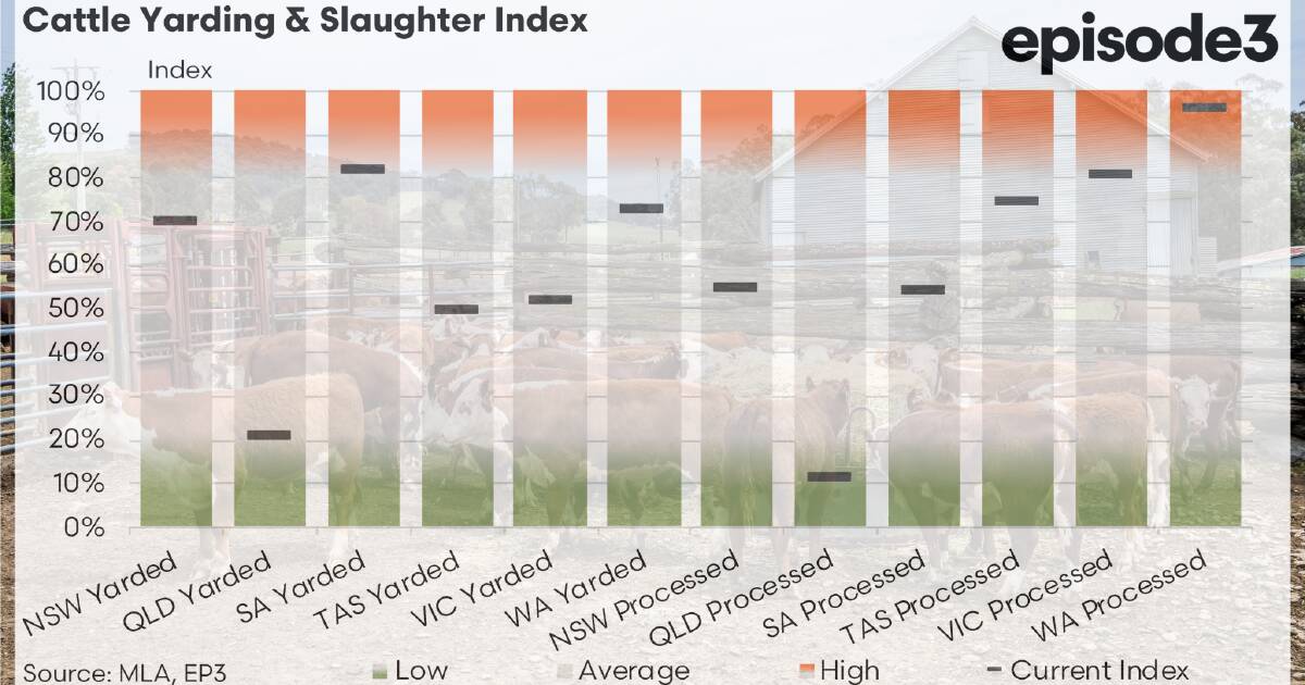 Southern processors take the lead in early 2026 as northern supply slumps