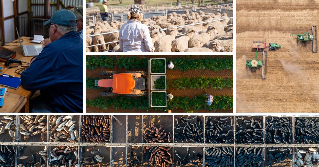 مبلغ ضخم يبلغ 101 مليار دولار أمريكي للإنتاج الزراعي، لكن أرباح المزارع قد تنخفض الآن بنسبة 40%