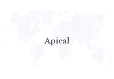 Apical lanza la iniciativa Rumah FABA Kreasi Muda para apoyar a las pequeñas empresas independientes en Dumai