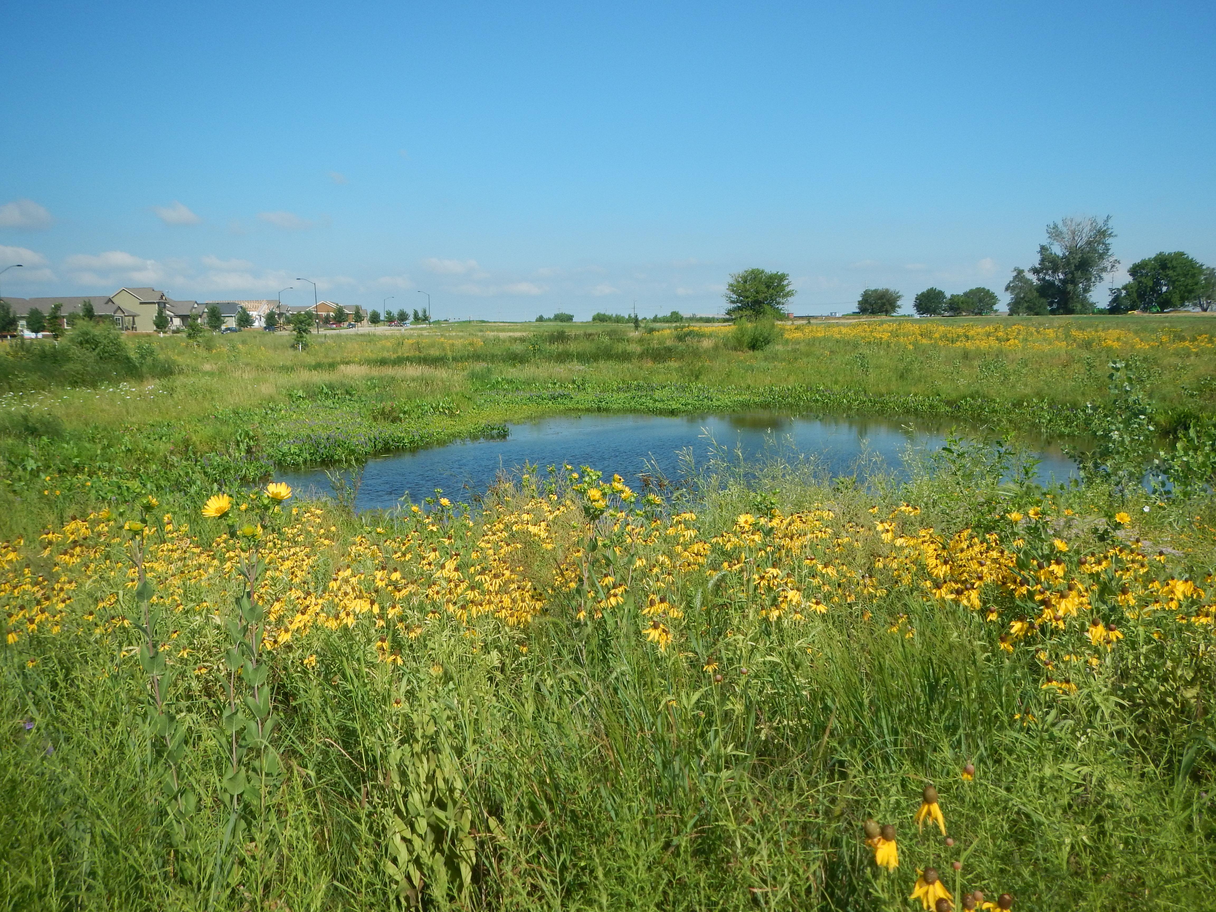 With billions invested in farm conservation, is Iowa's water cleaner?