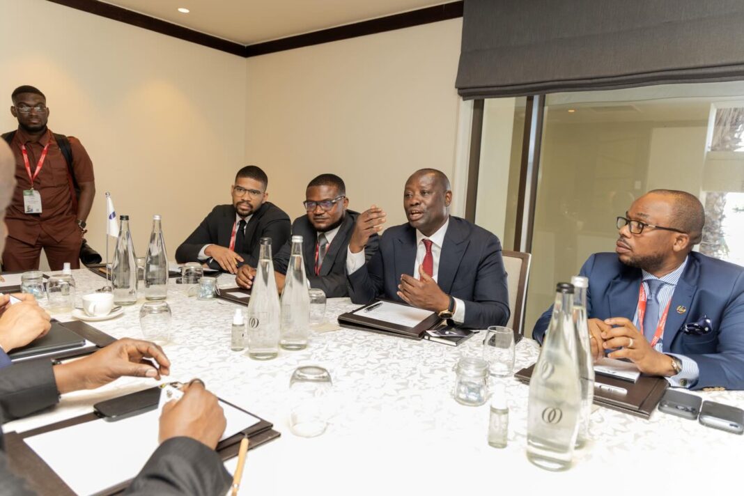 Mobilise capital to unlock mineral potential in Ghana, Africa – Lands Minister to AFC