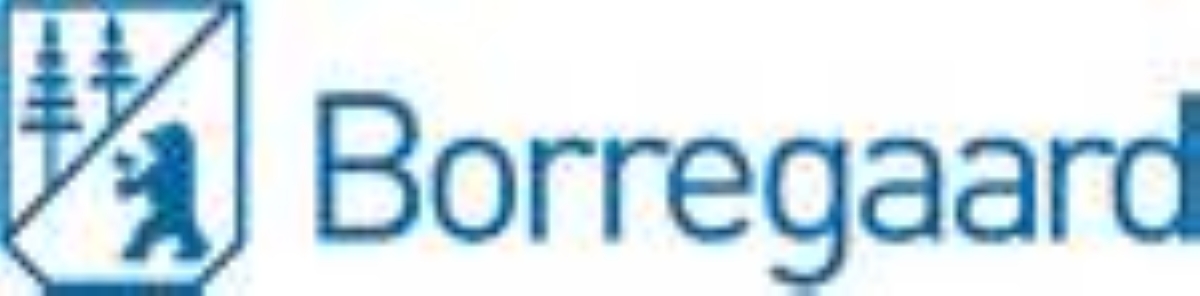 Borregaard ASA: Reporting of transactions in Borregaard ASA's share options by person discharging managerial responsibilities