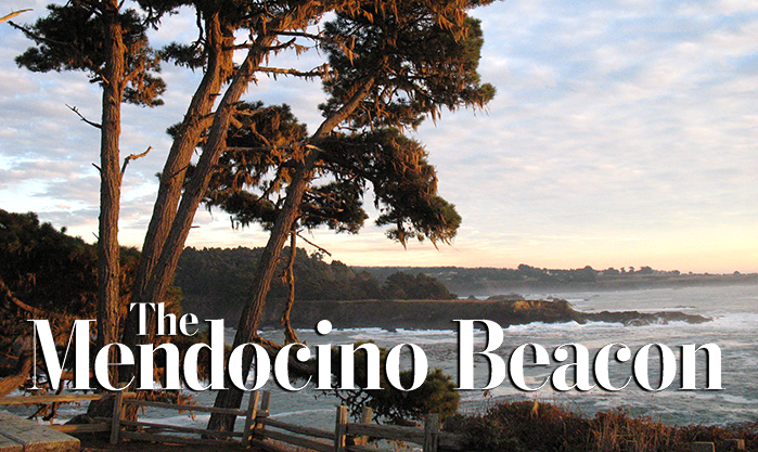 صوت آخر: خرافة السوق الحرة