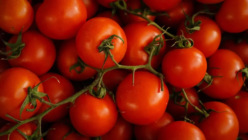 GH¢5.7bn haemorrhage: Ghana’s tomato crisis exposed as Chamber of Agribusiness unveils 2030 rescue plan