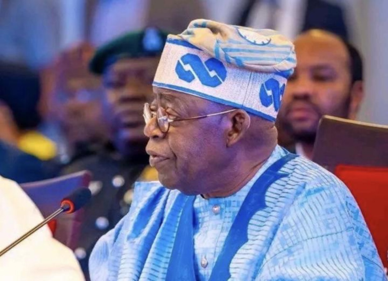 Tinubu championing Africa’s growth through the success of Nigeria’s ongoing reforms – TDF