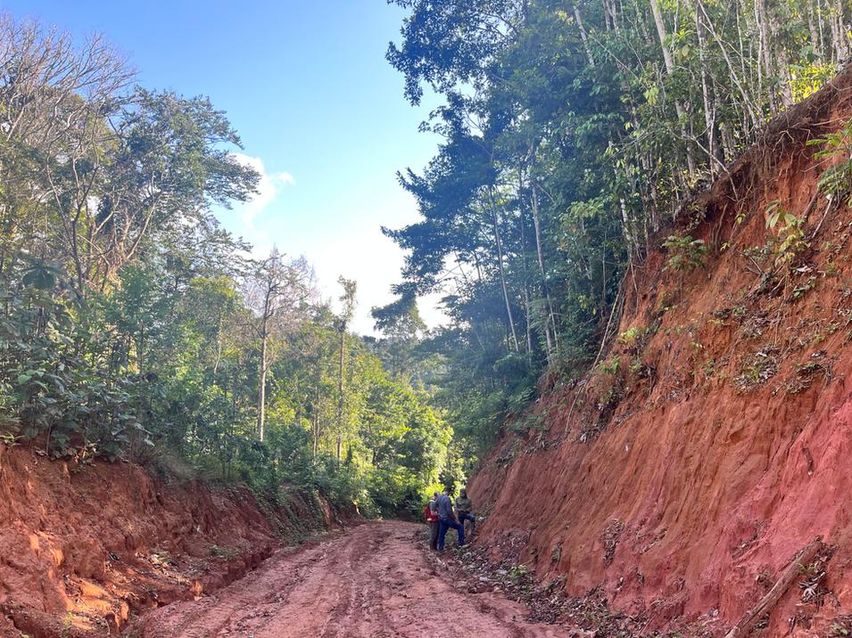 La Mancha’s $50M Greenheart Gold deal deepens Guiana Shield exposure