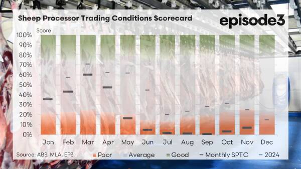 الحلقة 3: لماذا تعتبر قوة الصادرات مفتاح ربحية مصنعي الأغنام