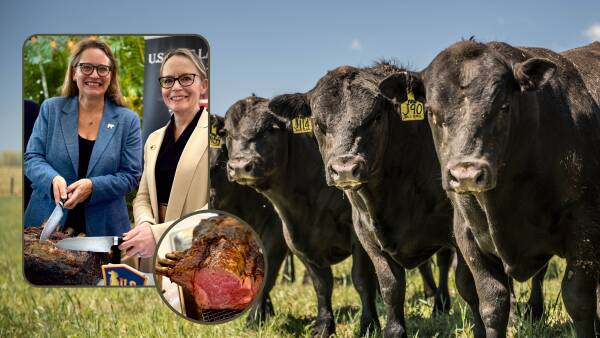 لا لحوم البقر بين الأصدقاء: وسائل التواصل الاجتماعي تتجنب لحوم البقر الأمريكية مع بدء الواردات إلى أستراليا