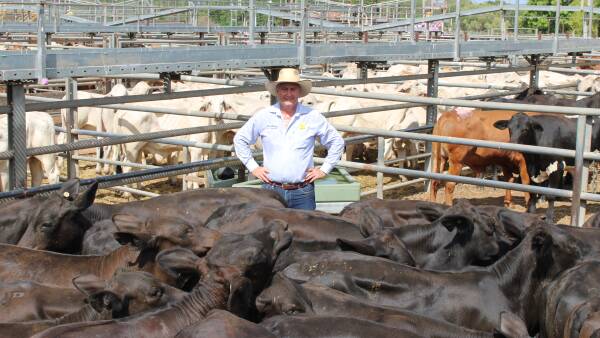 Strong prices at first Charters Towers sale signal positive market outlook