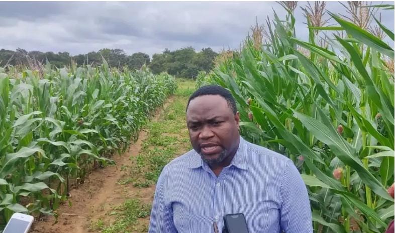 Starving Giant, Sleeping Potential: Why ADMARC Must Be Reborn