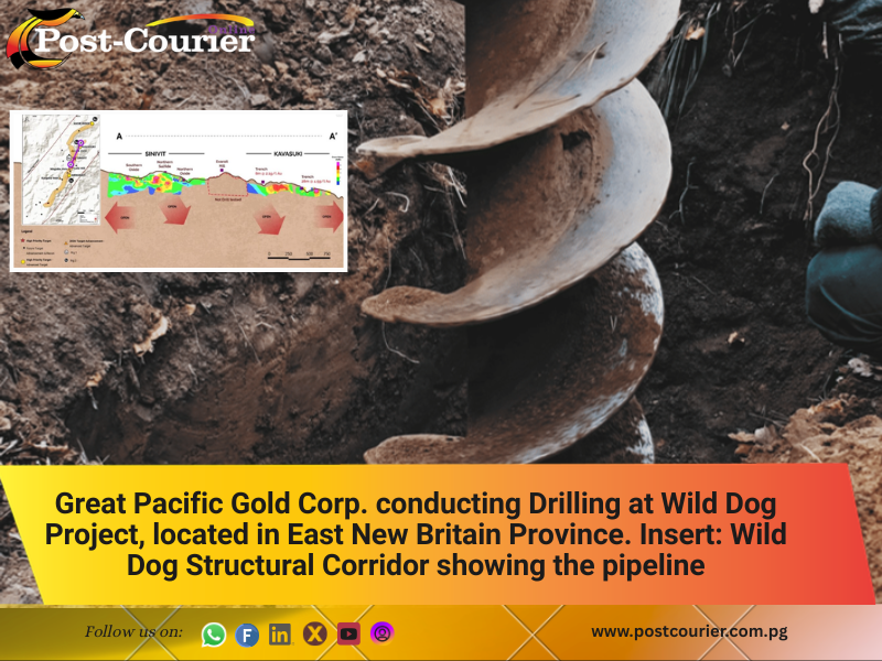 Drilling operations at Wild Dog Project proceeding well