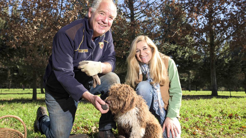 خيبة أمل في مزاد هوثورن تشعل فتيل مكسب تجاري إقليمي بقيمة 300 ألف دولار.