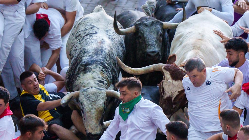 How a buyer’s agent helped me beat Brisbane’s ‘carnage’ property market