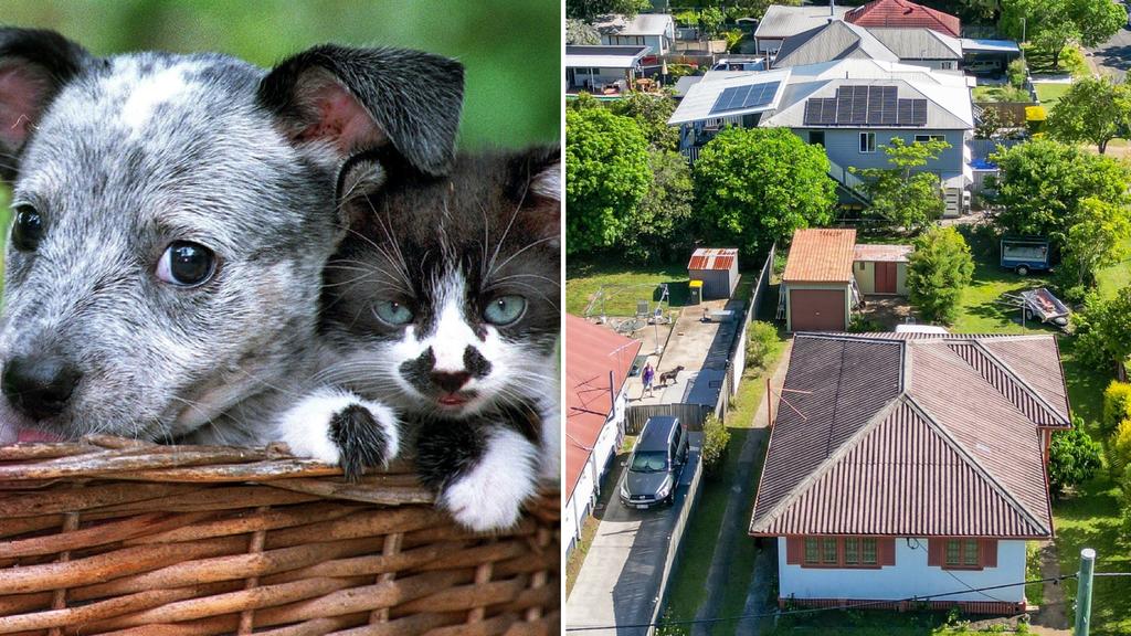 Las ganancias de la subasta de cabañas de Zillmere se donarán a importantes organizaciones benéficas