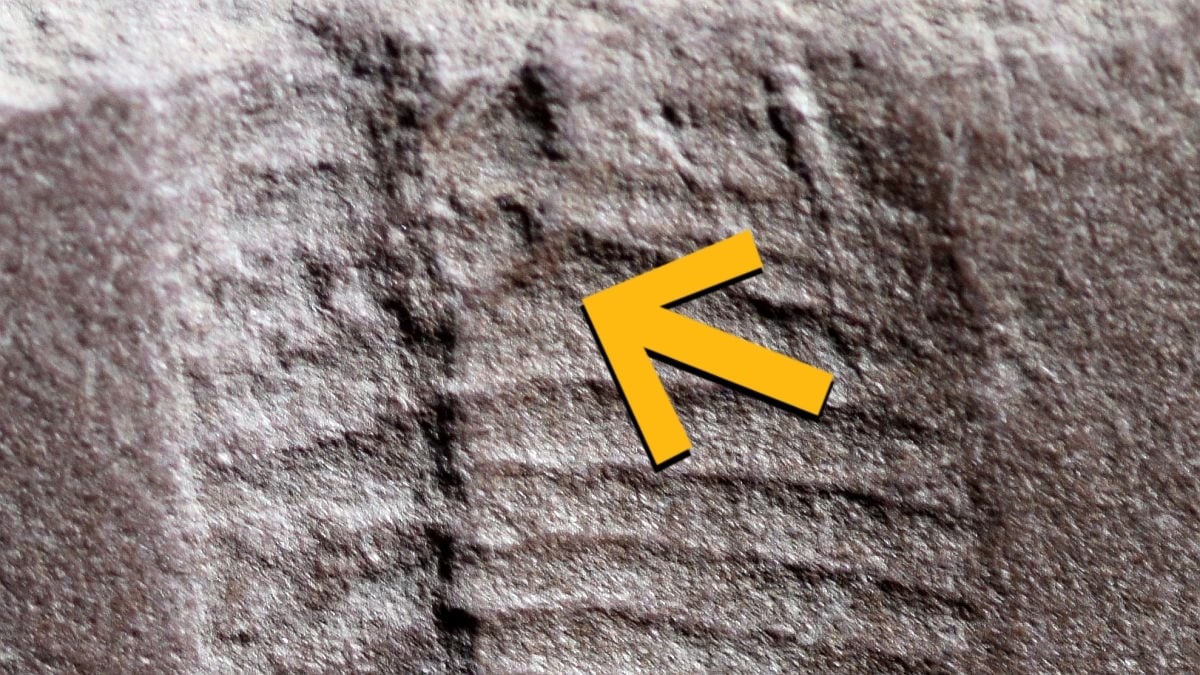 This Week in Science: The Breaking Bad Effect, The Oldest Butthole, And More!