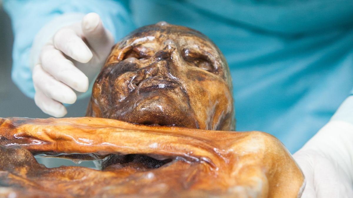 Scientists Find Signs of Active Life in Ötzi The Iceman