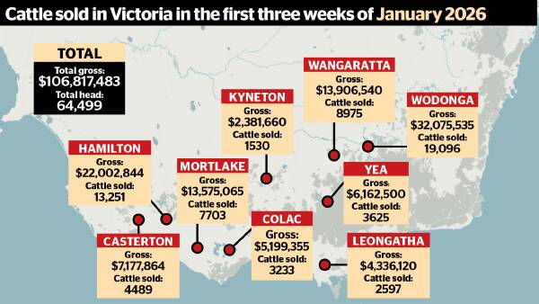 The figures are in: southern weaner sales gross $30 million more than last year