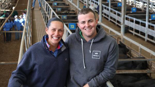 Inside the breeding operation that sold 209 Angus steers in a single bid