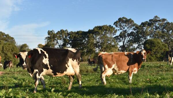 With farm emissions at 18 per cent, is new technology the only answer?