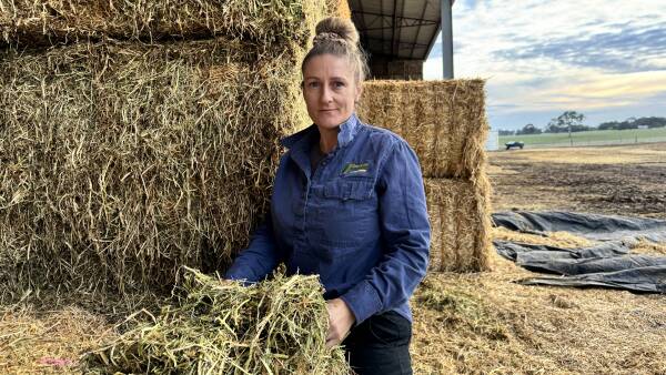 Slow lab results could cost farmers as demand for hay increases