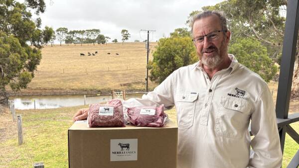 CEO turned Fleurieu Peninsula farmer launches premium Angus beef brand
