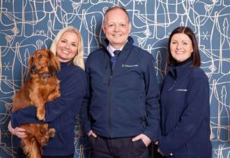 Insurance broker receives platinum award after strong customer feedback