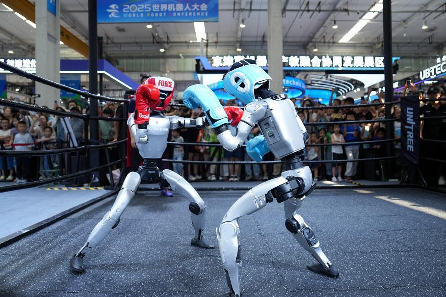 Humanoid robots break new grounds for Chinese consumer market